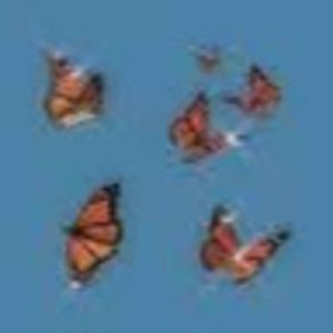 Meet your Posher, Mattison